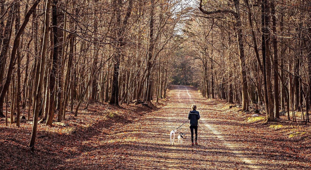 Balade éducative Gironde