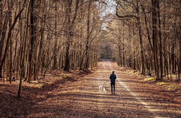 Balade éducative Gironde